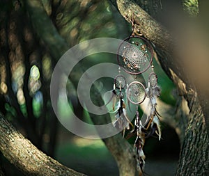 Dreamcatcher, magical spiritual Indian shaman amulet, mystical.