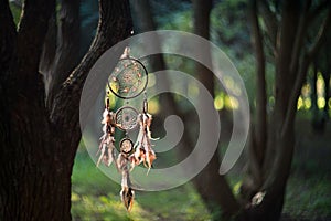 Dreamcatcher, magical spiritual Indian shaman amulet, mystical.