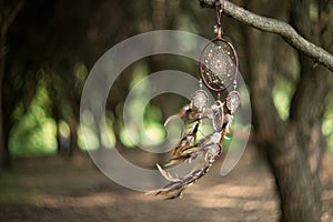 Dreamcatcher, magical spiritual Indian shaman amulet, mystical.