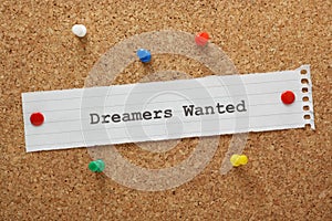 Dreamers Wanted photo