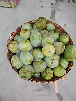 Dreaming of eating ripe mango â€“ If you dreamed of eating ripe mango, that dream is a good sign in madhubani india