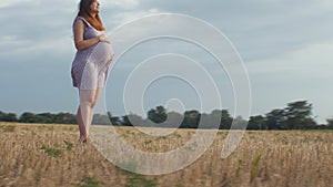 Dreaming pregnant woman in field on background of beautiful clouds