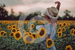 Dreaming young woman in blue dress and hat dancing in a field of sunflowers at summer, view from her back. Looking forward