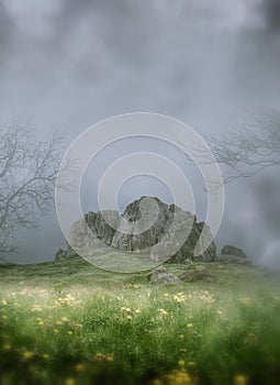 Dreamland Mystical Rocks In Foggy Meadow