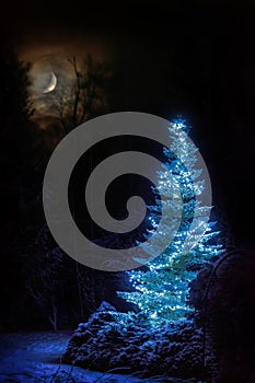 Dreamlike winter scene. Christmas tree among snowy forest at snowfall night. Xmas celebration background with bright crescent