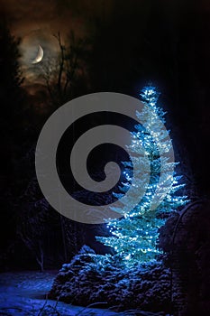 Dreamlike winter scene. Christmas tree among snowy forest at snowfall night. Xmas celebration background with bright crescent