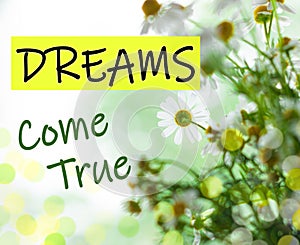 Dreams Come True text sign. Blooming camomiles with green leaves. Blurred bokeh lights flowers background