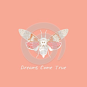 Dreams Come True. White orange pink cicadas sketch, coral background. simple art. Can be used for Card banner template, copy space