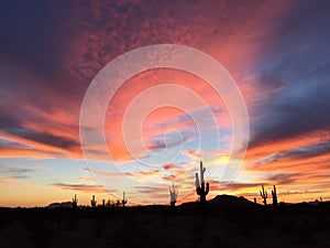 Dreamtime Cloudscape Saguaro Sentinels Arizona Skyscape American Southwest