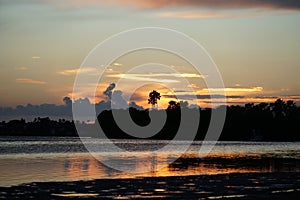 Dreamtime Palm Tree Sunset