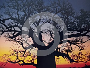 Dreamtime tree delivered colourful sunset photo