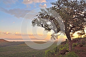 Dreamy African sunset