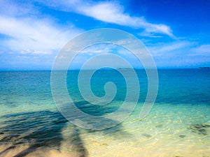 Dreamy beach palm shadow