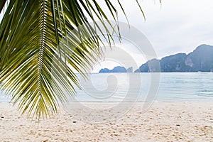 Dreamy beach view with palm tree leaf and white sand in Phi Phi island