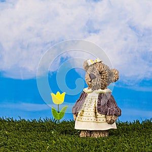 Dreamy bear with tulip on the blue sky background,