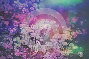 Dreamy beautiful floral background with bokeh lights