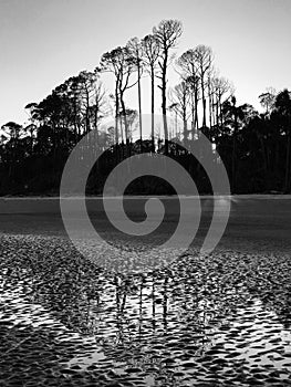 A dreamy black and white look at snowy South Carolina and the Atlantic at sunset - Hunting Island - USA