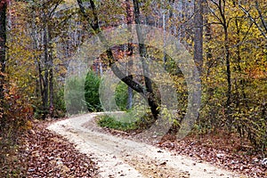 Dreamy dirt road