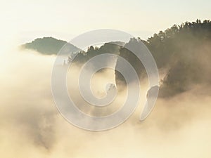 Dreamy fogy landscape, gentle pink misty sunrise in a beautiful valley of Saxony Switzerland park.