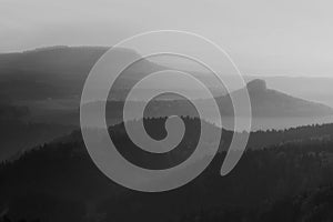 Dreamy fogy landscape, gentle pink misty sunrise in a beautiful valley of Saxony Switzerland park.