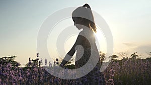 Dreamy little girl walking in field flowers at sunset. outdoor activities