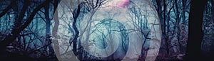 Dreamy Moonlit Forest With A Softfocus Banner Background. Generative AI