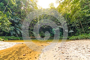 Dreamy multicolored natural pool hidden in the dense and umid rainforest of Lambir Hills National Park, Borneo, Malaysia. Concept