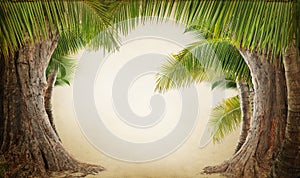 Dreamy palm tree landscape backgrund photo