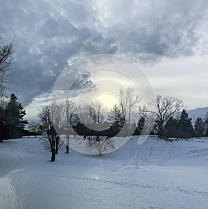 Dreamy Snowy Winter Twilight View with Sun Setting and Trees