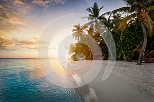 Dreamy sunset behind a tropical paradise beach with coconut palm trees