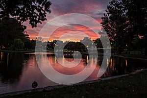 A Dreamy Sunset in Boston