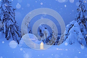 Dreamy winter scene with an igloo snow