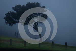 Dreary foggy view of silhouetted people and trees in a field photo