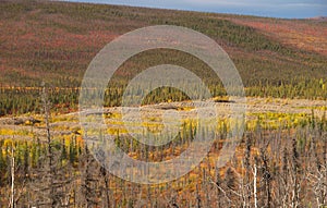 Dredge tailings