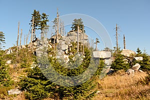 Dreisesselberg - nature reserve