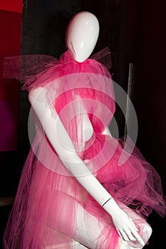 Dress Fashion Mannequins