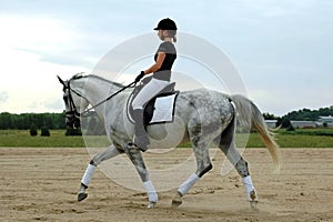 Dressage