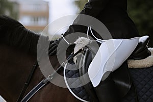 Dressage horse in close-up in a dressage competition in a square