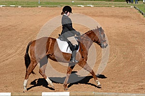 Dressage horse and rider