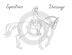 Dressage horse with rider performing piaffe, equestrian sport.