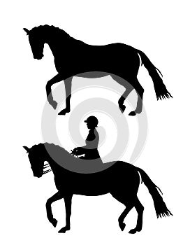 Dressage horse silhouette ~