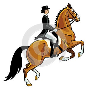 Dressage rider photo