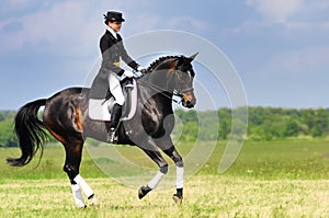 Dressage rider on bay horse galloping in field