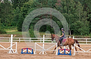 Young girl rider on a dressage in the park on a slender horse.