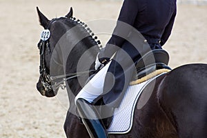 Dressage rider on a black horse. View from the back