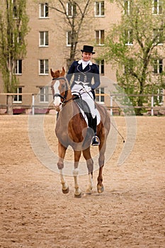 Dressage rider and chestnut horse poised in sandy urban arena photo