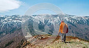 Dressed bright orange jacket backpacker walking by blueberry field using trekking poles with mountain range background, Slovakia.