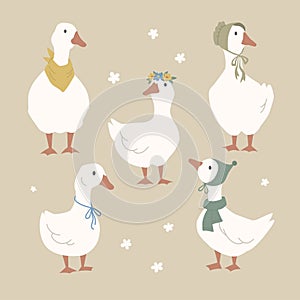 Dressed cute geese, farm birds collection