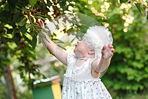 Dressed for sunny adventures, a curious toddler explores the bounty of a cherry tree, their rosy cheeks lit up with