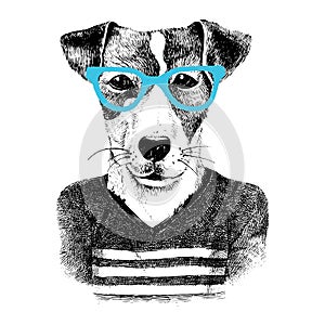 Dressed up dog in hipter style